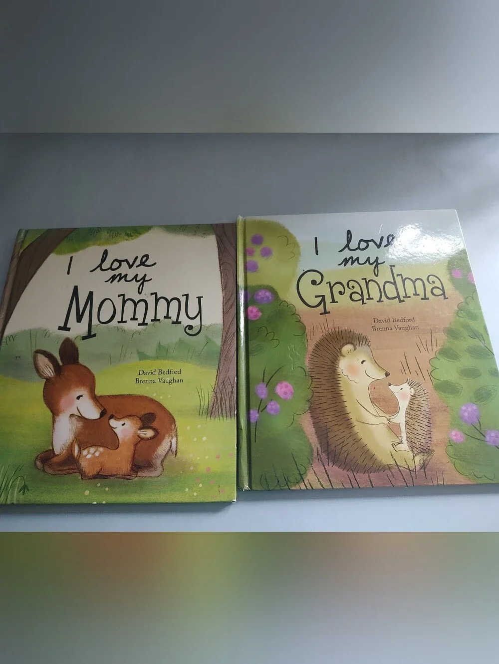 Bundle of  2  books For Kids  Hard Cover Excellent Condition